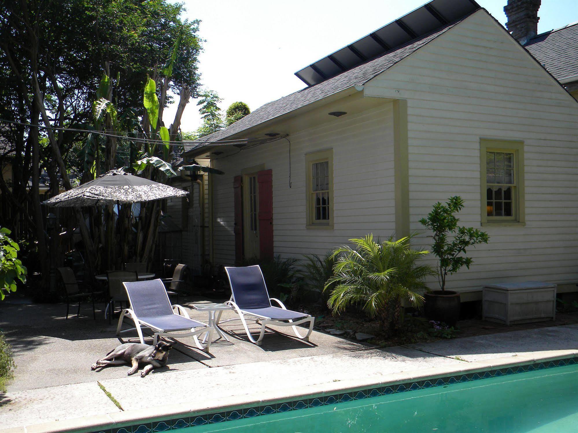 Bed and Breakfast Maison De Macarty New Orleans Exterior foto